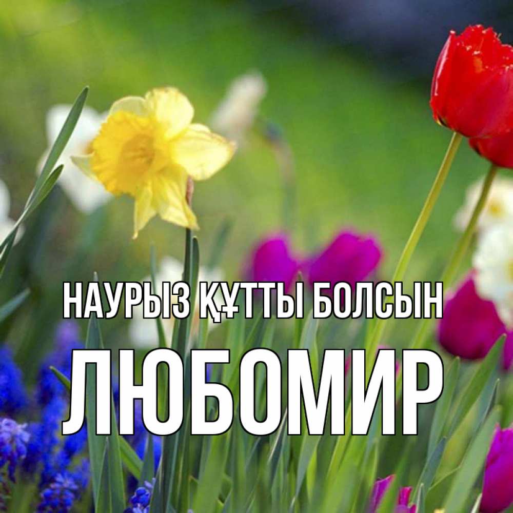 Күн сайын ашық хат с именем, Любомир Наурыз құтты болсын наурыз  3 открытки Онлайн тегін жүктеп алу тілектері бар керемет карта 