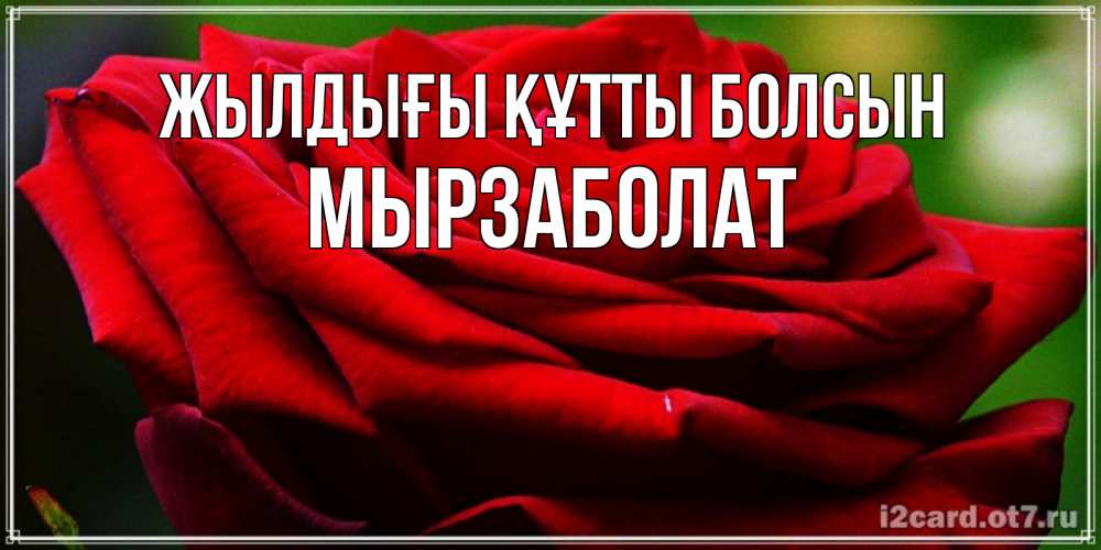 Күн сайын ашық хат с именем, Мырзаболат Жылдығы құтты болсын розочка очень красивая Онлайн тегін жүктеп алу тілектері бар керемет карта 