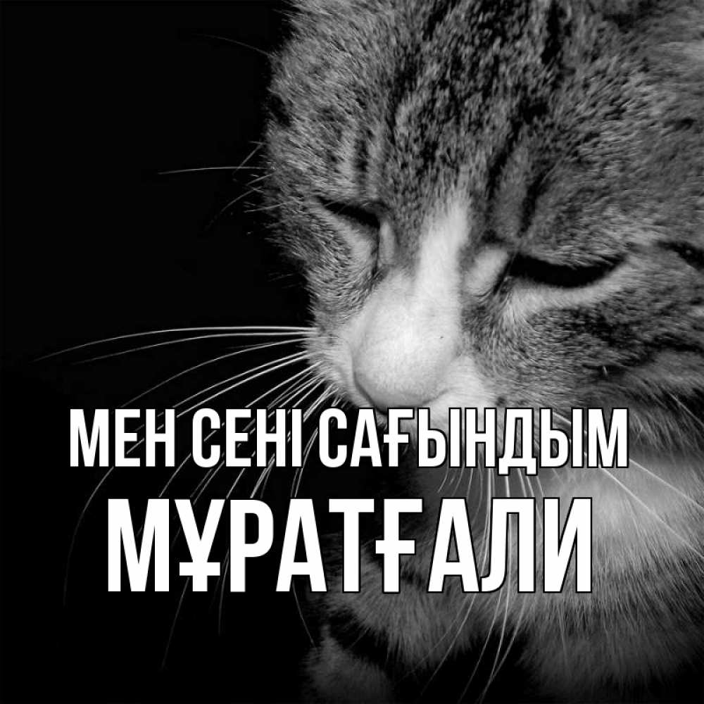 Күн сайын ашық хат с именем, Мұратғали Мен сені сағындым мне скучно Онлайн тегін жүктеп алу тілектері бар керемет карта 