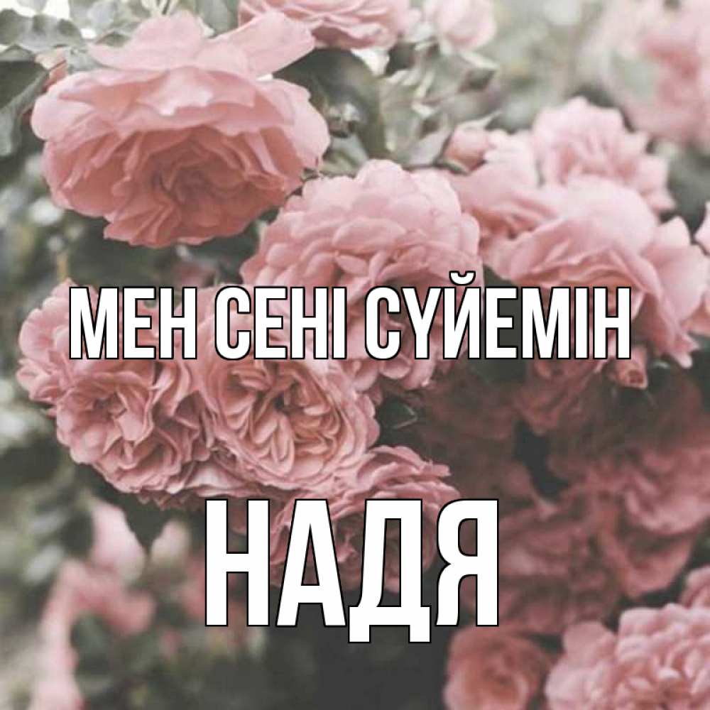 Күн сайын ашық хат с именем, Надя Мен сені сүйемін розы 3 Онлайн тегін жүктеп алу тілектері бар керемет карта 