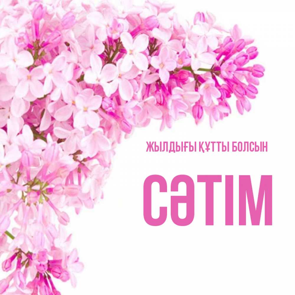 Күн сайын ашық хат с именем, СӘТІМ Жылдығы құтты болсын Сирень на белом фоне Онлайн тегін жүктеп алу тілектері бар керемет карта 
