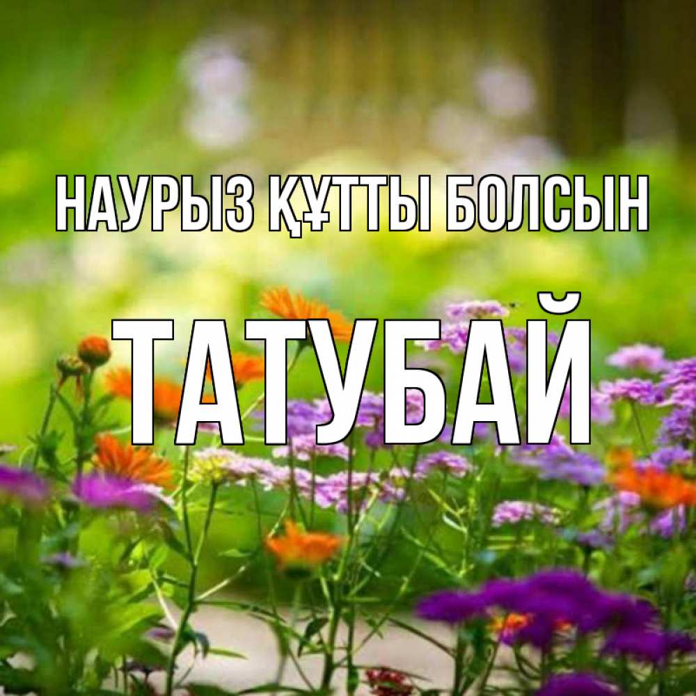 Күн сайын ашық хат с именем, ТАТУБАЙ Наурыз құтты болсын цветы Онлайн тегін жүктеп алу тілектері бар керемет карта 