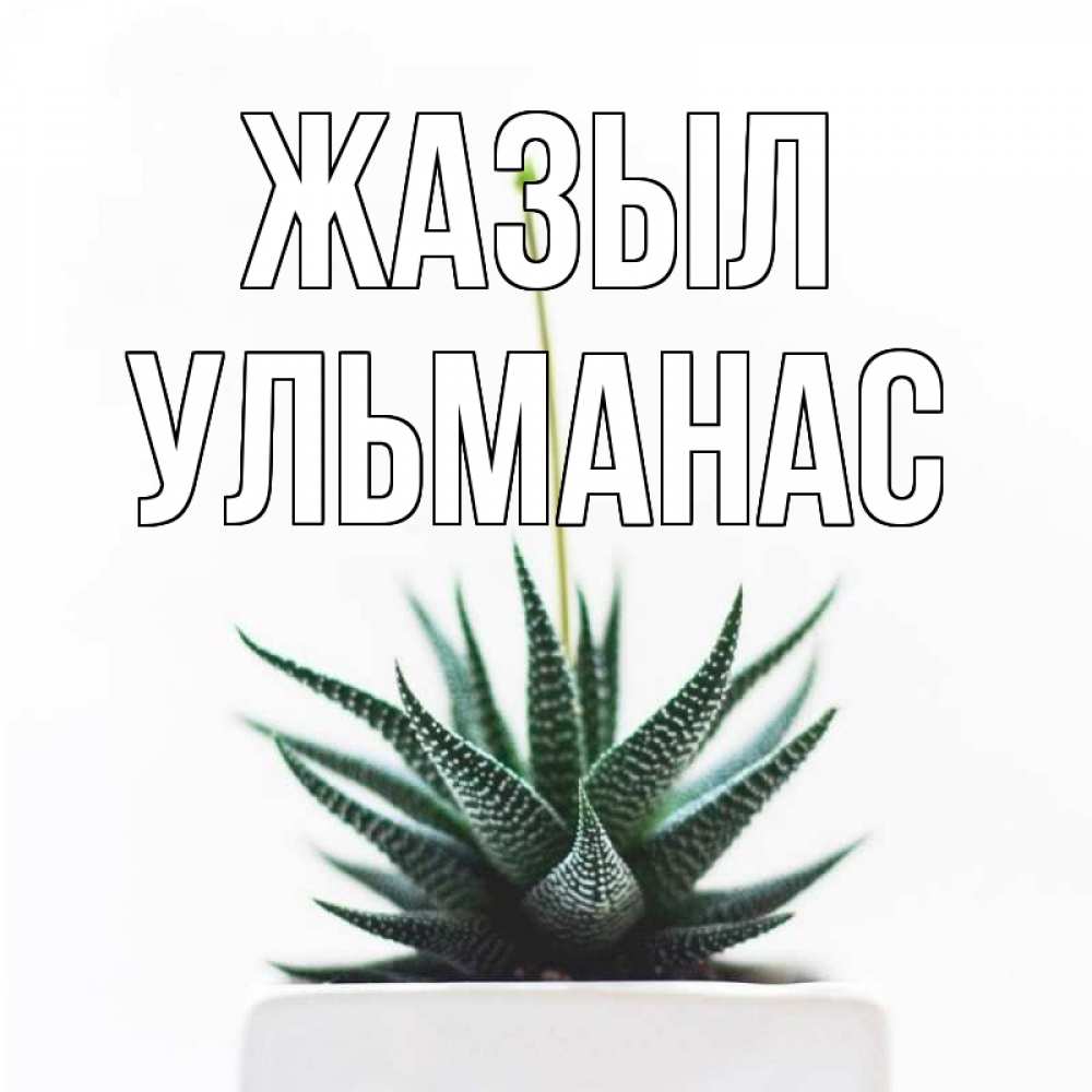 Күн сайын ашық хат с именем, Ульманас Жазыл короче это непонятная колючка Онлайн тегін жүктеп алу тілектері бар керемет карта 