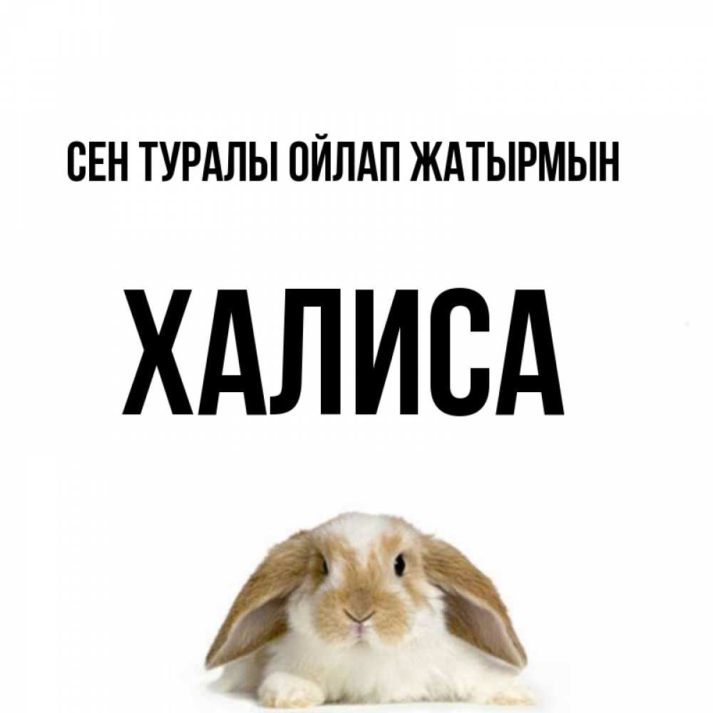 Күн сайын ашық хат с именем, ХАЛИСА Сен туралы ойлап жатырмын подписать своими руками онлайн Онлайн тегін жүктеп алу тілектері бар керемет карта 