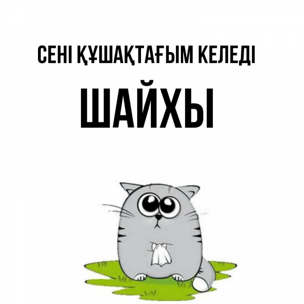 Күн сайын ашық хат с именем, ШАЙХЫ сені құшақтағым келеді котик теребит платочек сидя на травке Онлайн тегін жүктеп алу тілектері бар керемет карта 