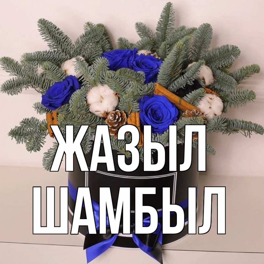 Күн сайын ашық хат с именем, ШАМБЫЛ Жазыл короче кто то загрузил эти шишки Онлайн тегін жүктеп алу тілектері бар керемет карта 