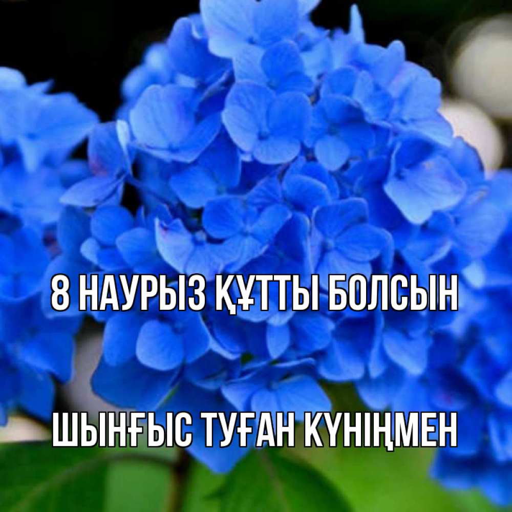 Картинка 8 наурыз құтты болсын, ШЫНҒЫС! ТУҒАН КҮНІҢМЕН!