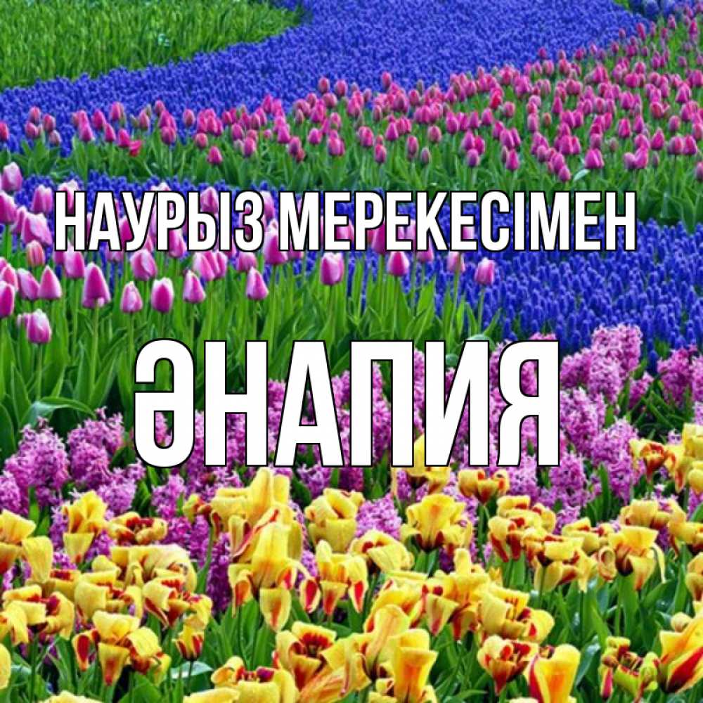 Күн сайын ашық хат с именем, ӘНАПИЯ Наурыз мерекесімен цветы Онлайн тегін жүктеп алу тілектері бар керемет карта 