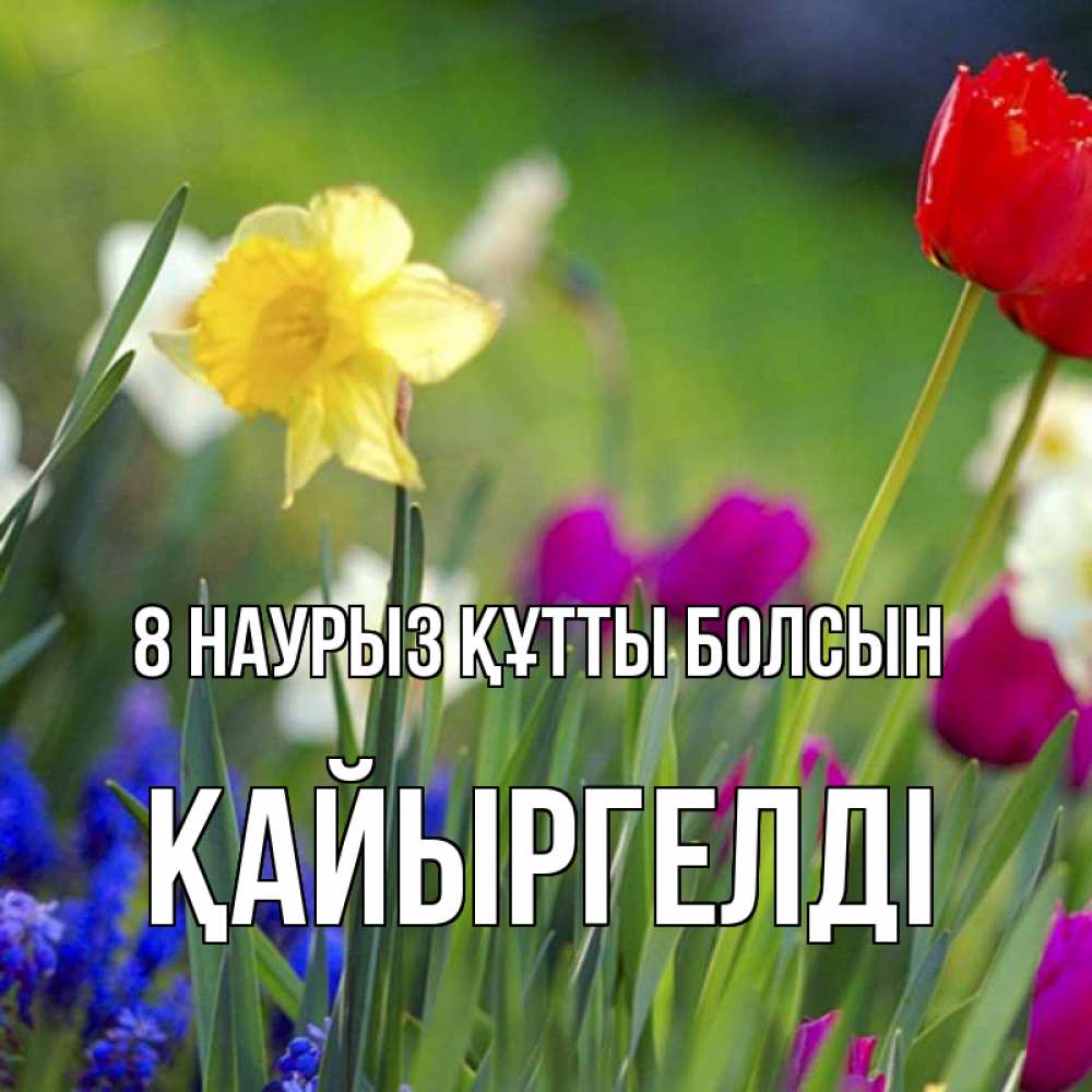 Күн сайын ашық хат с именем, Қайыргелді 8 наурыз құтты болсын международный женский день 3 Онлайн тегін жүктеп алу тілектері бар керемет карта 