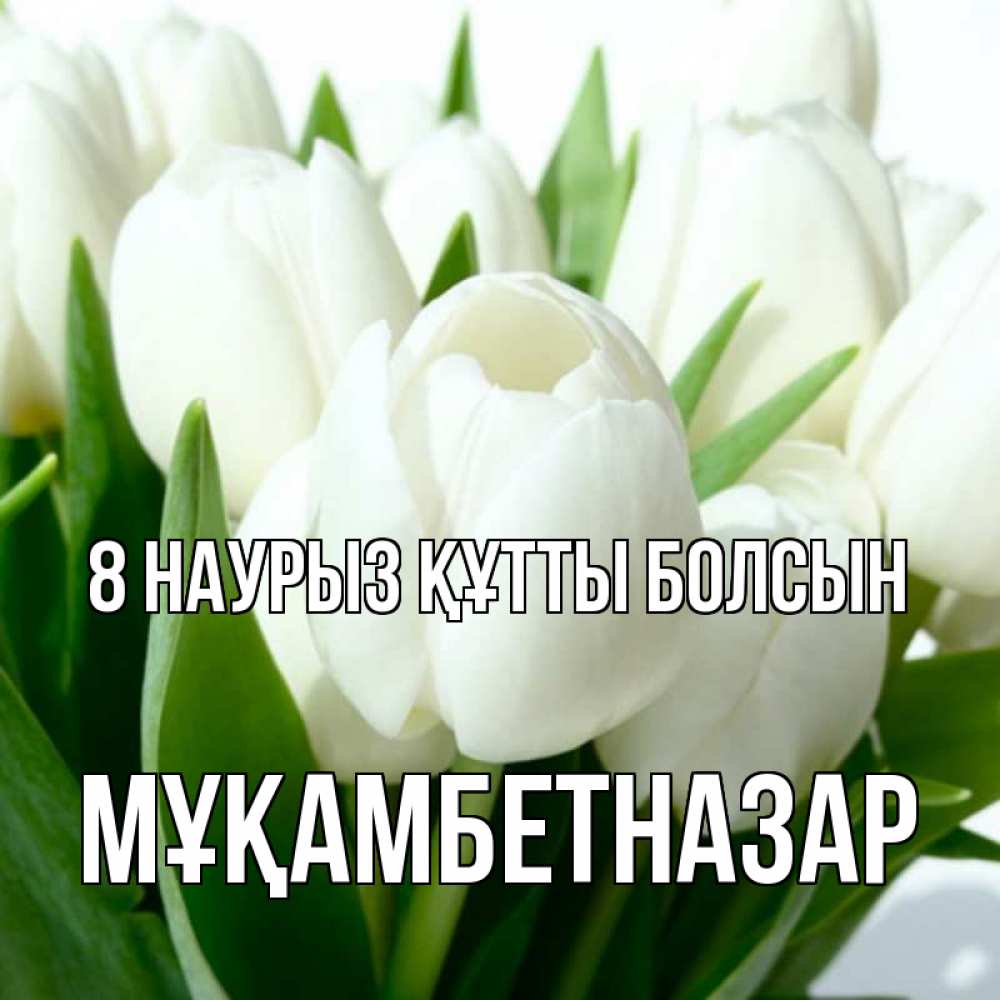 Күн сайын ашық хат с именем, Мұқамбетназар 8 наурыз құтты болсын цветы Онлайн тегін жүктеп алу тілектері бар керемет карта 