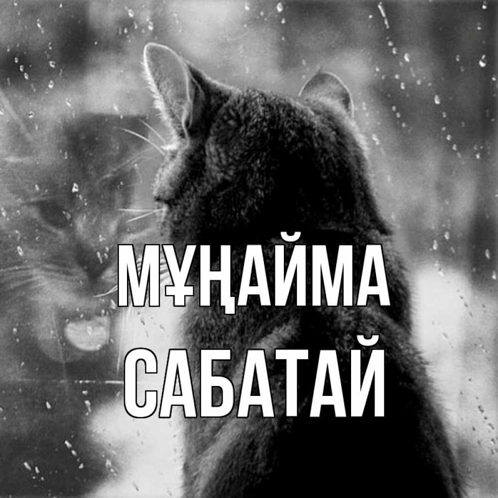 Күн сайын ашық хат с именем, САБАТАЙ Мұңайма отражение кота 1 Онлайн тегін жүктеп алу тілектері бар керемет карта 