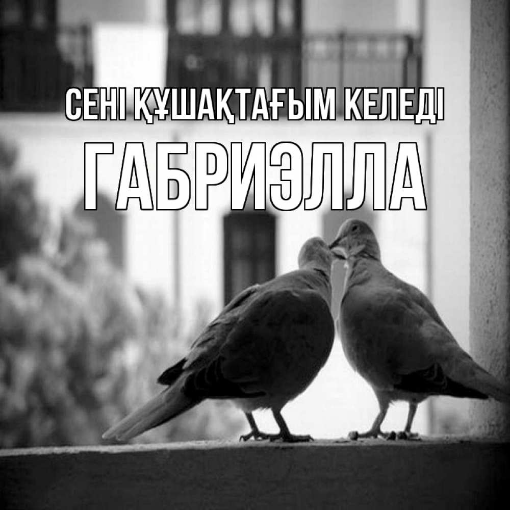 Күн сайын ашық хат с именем, Габриэлла сені құшақтағым келеді птицы на подоконнике Онлайн тегін жүктеп алу тілектері бар керемет карта 