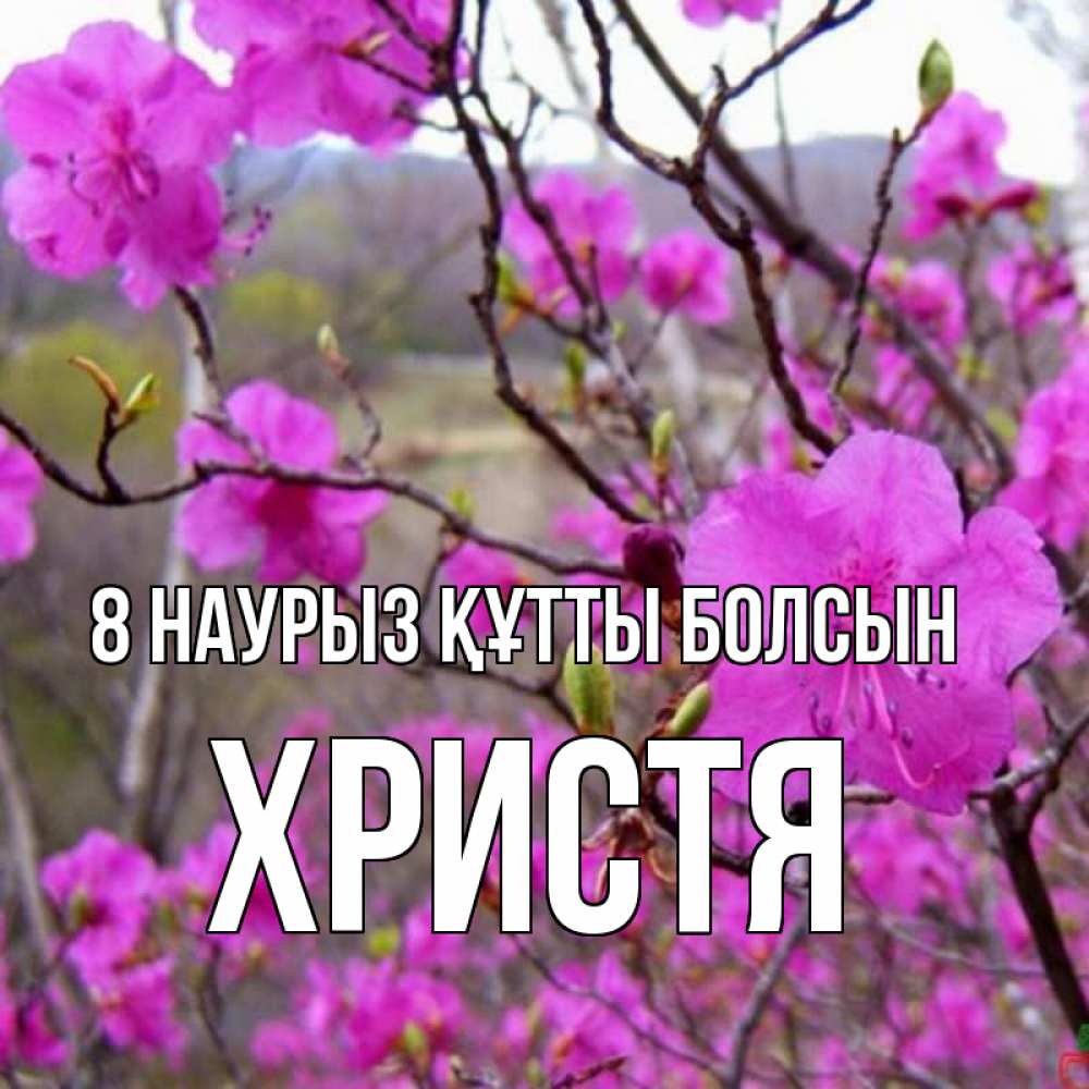 Күн сайын ашық хат с именем, Христя 8 наурыз құтты болсын международный женский день Онлайн тегін жүктеп алу тілектері бар керемет карта 