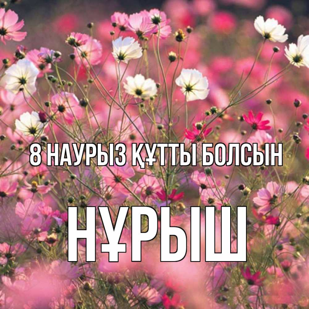 Күн сайын ашық хат с именем, Нұрыш 8 наурыз құтты болсын красиво 1 Онлайн тегін жүктеп алу тілектері бар керемет карта 