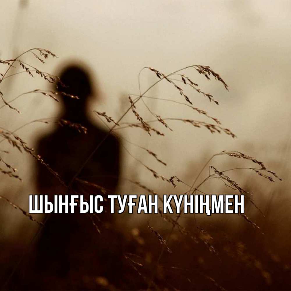 Картинка  с именем , ШЫНҒЫС! ТУҒАН КҮНІҢМЕН!