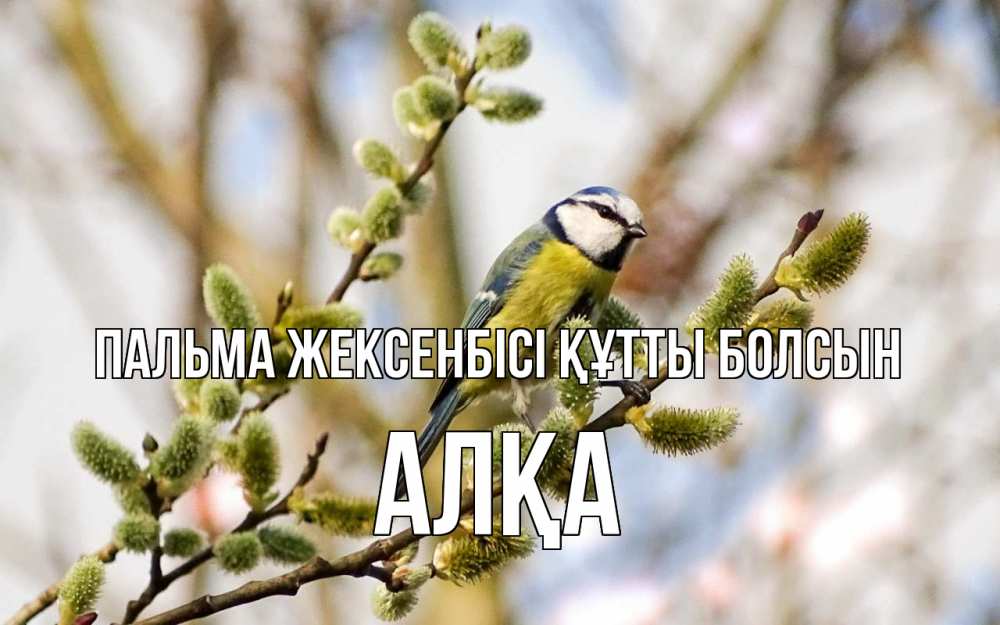 Күн сайын ашық хат с именем, Алқа Пальма жексенбісі құтты болсын верба Онлайн тегін жүктеп алу тілектері бар керемет карта 