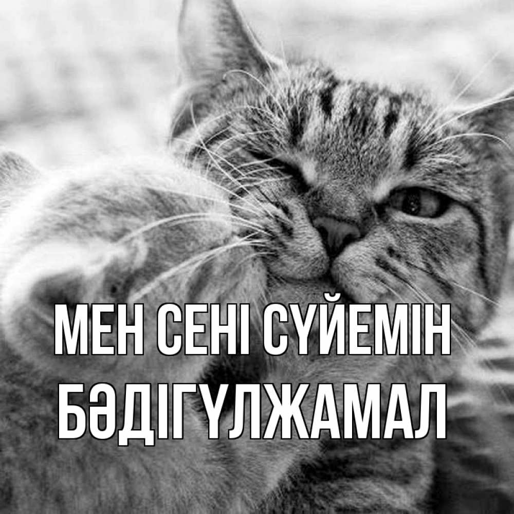Күн сайын ашық хат с именем, БӘДІГҮЛЖАМАЛ Мен сені сүйемін коты Онлайн тегін жүктеп алу тілектері бар керемет карта 