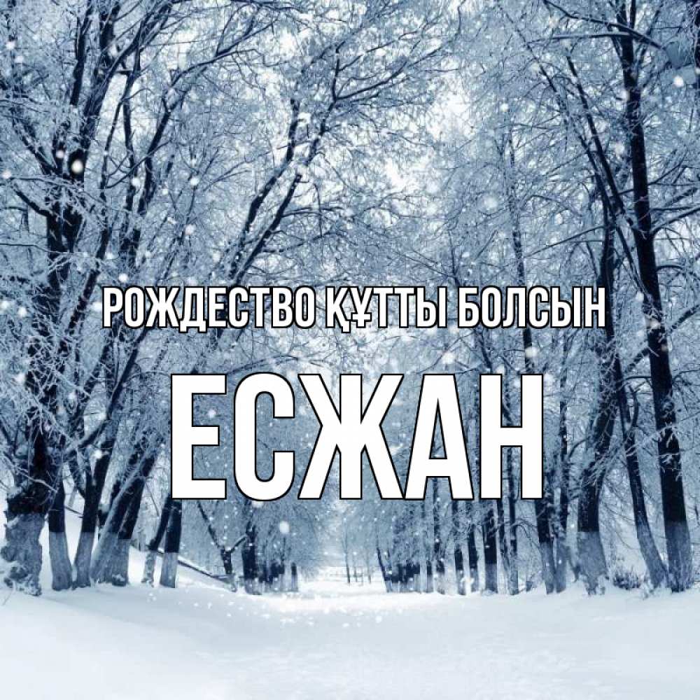 Күн сайын ашық хат с именем, Есжан Рождество құтты болсын снег, лес, парк Онлайн тегін жүктеп алу тілектері бар керемет карта 