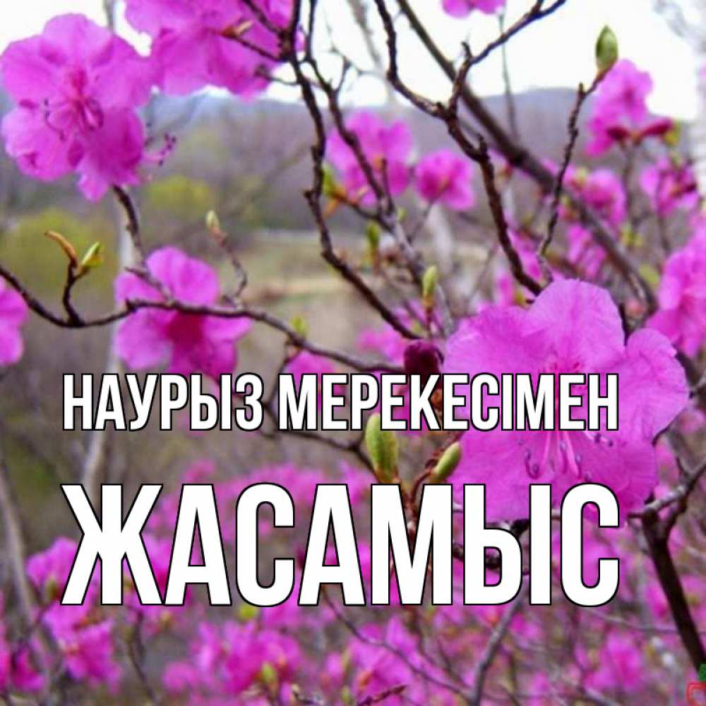 Күн сайын ашық хат с именем, Жасамыс Наурыз мерекесімен праздник весны наурыз Онлайн тегін жүктеп алу тілектері бар керемет карта 