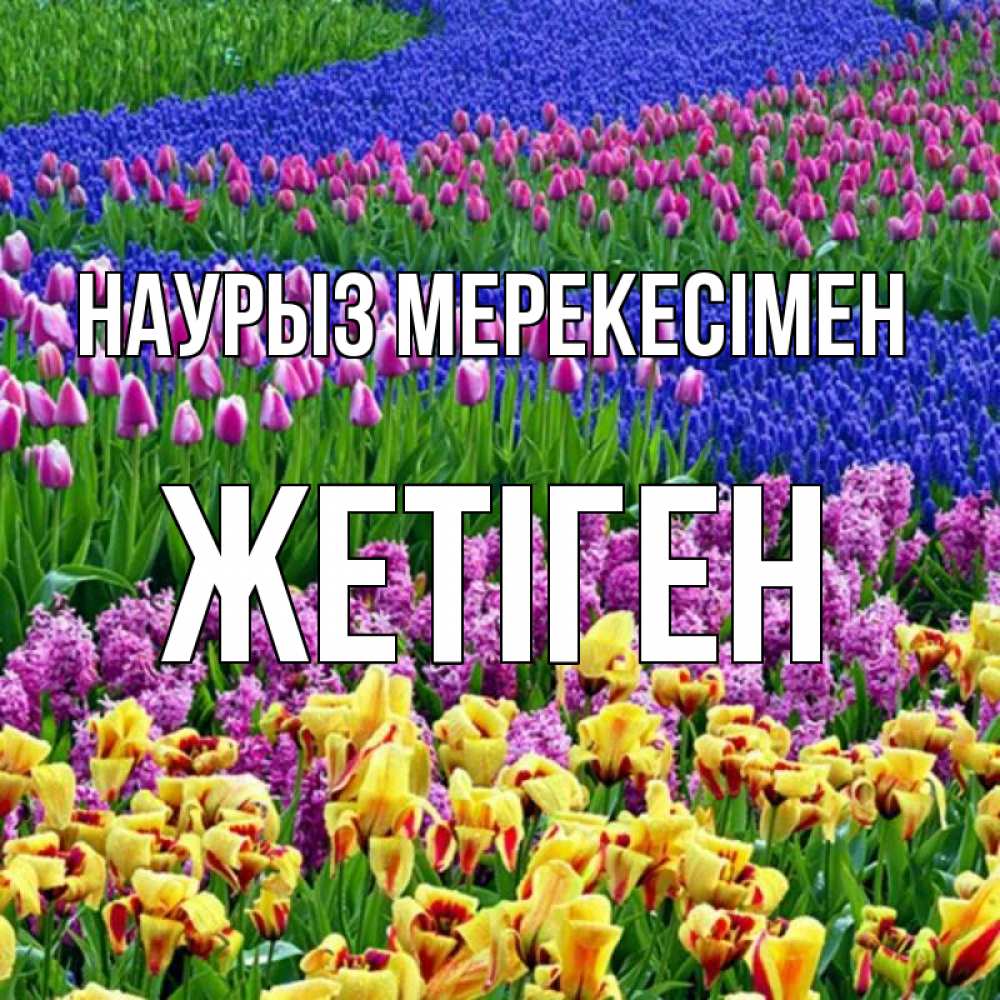 Күн сайын ашық хат с именем, Жетіген Наурыз мерекесімен цветы Онлайн тегін жүктеп алу тілектері бар керемет карта 