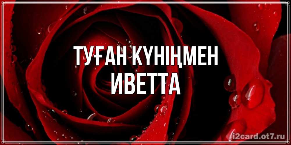 Күн сайын ашық хат с именем, Иветта Туған күніңмен крупная бордовая роза Онлайн тегін жүктеп алу тілектері бар керемет карта 