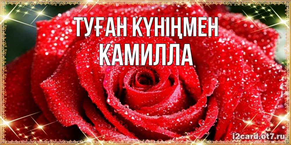 Күн сайын ашық хат с именем, Камилла Туған күніңмен роса и роза. открытка с красивой розой Онлайн тегін жүктеп алу тілектері бар керемет карта 