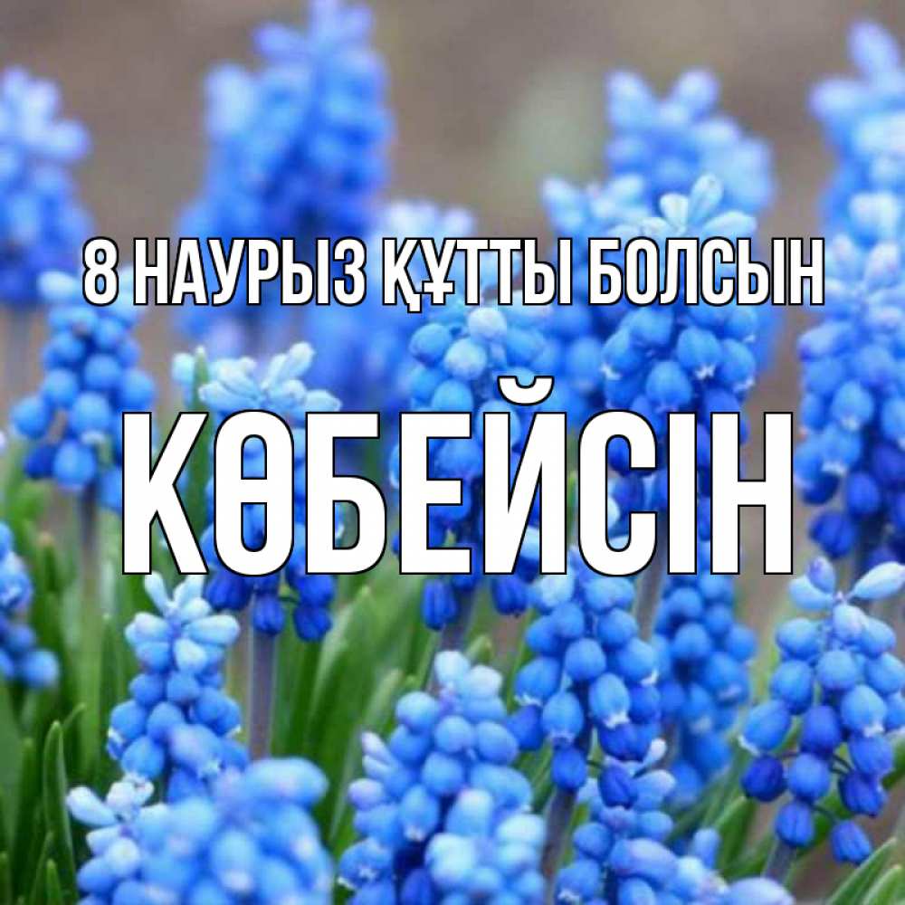 Күн сайын ашық хат с именем, Көбейсін 8 наурыз құтты болсын Поздравительная открытка для женщин с цветами на праздничную дату Онлайн тегін жүктеп алу тілектері бар керемет карта 