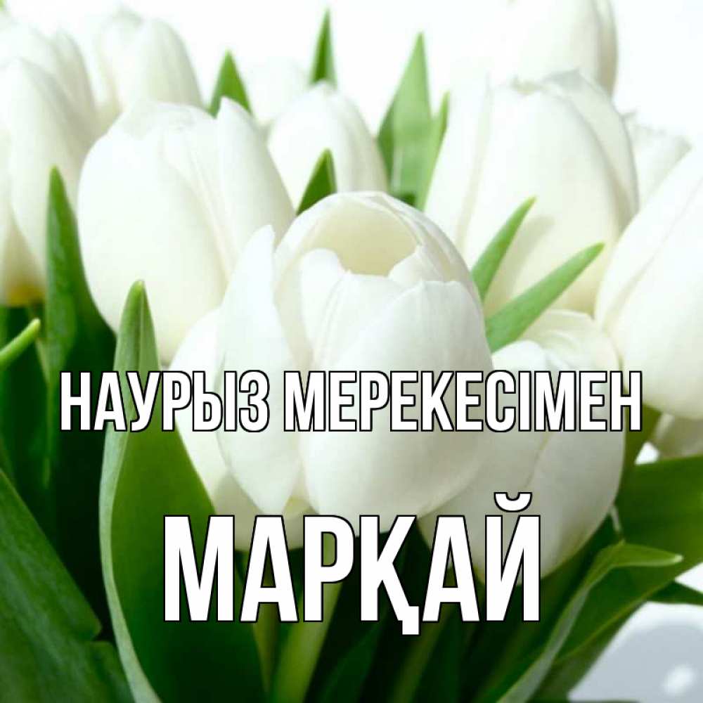 Күн сайын ашық хат с именем, МАРҚАЙ Наурыз мерекесімен цветы Онлайн тегін жүктеп алу тілектері бар керемет карта 