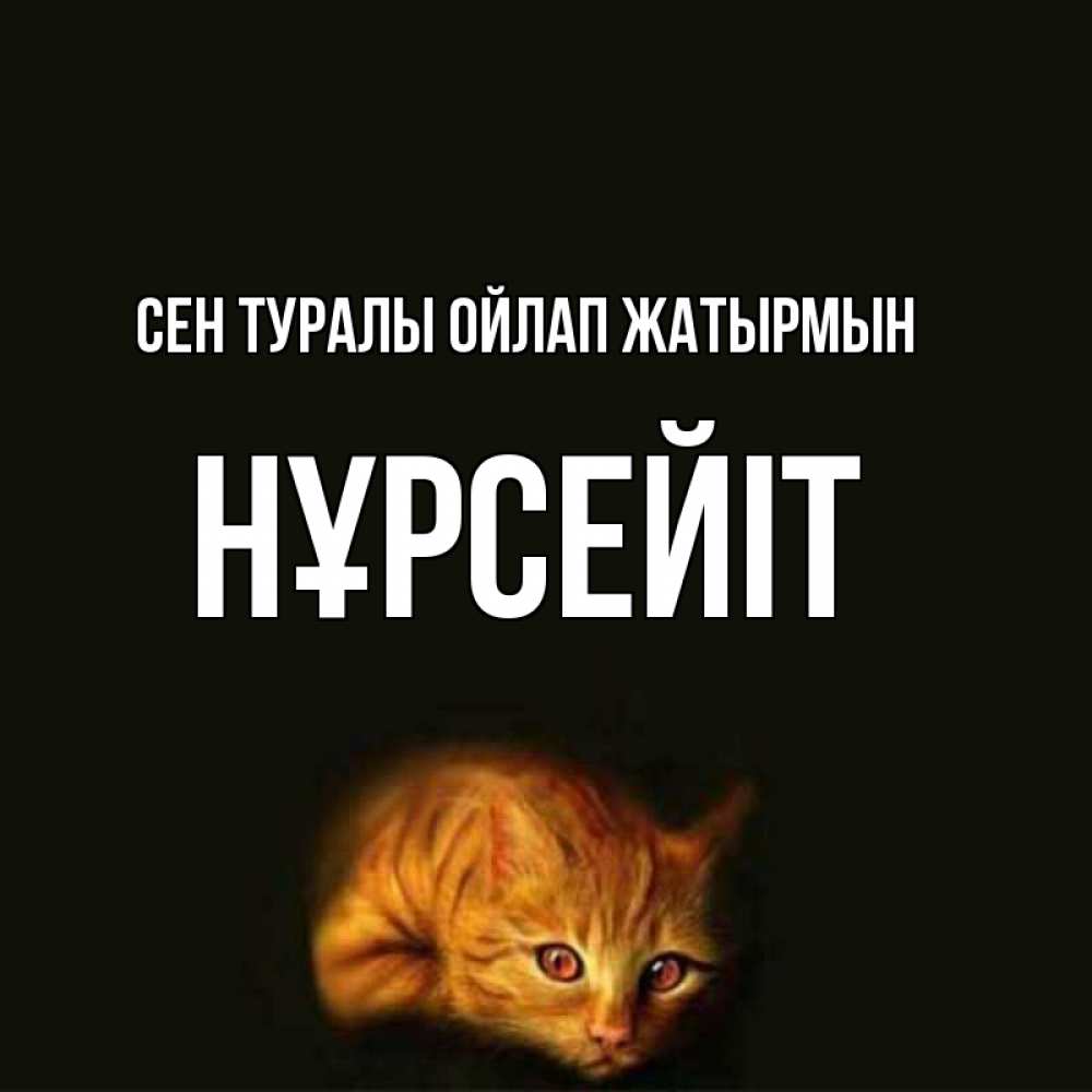 Күн сайын ашық хат с именем, НҰРСЕЙІТ Сен туралы ойлап жатырмын рыжий Онлайн тегін жүктеп алу тілектері бар керемет карта 