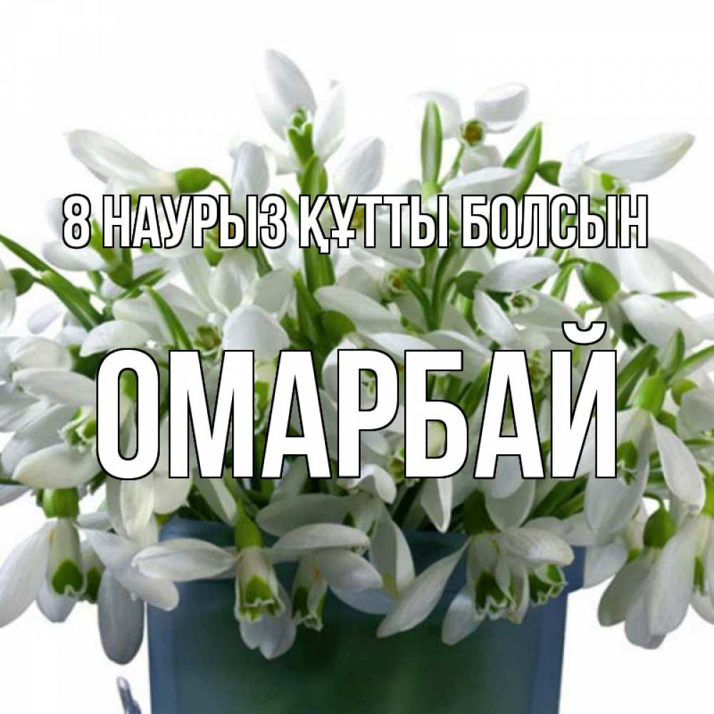 Күн сайын ашық хат с именем, ОМАРБАЙ 8 наурыз құтты болсын цветы к международному женскому дню Онлайн тегін жүктеп алу тілектері бар керемет карта 