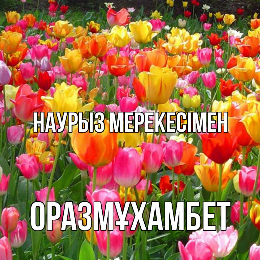 Күн сайын ашық хат с именем, ОРАЗМҰХАМБЕТ Наурыз мерекесімен праздник весны наурыз 4 Онлайн тегін жүктеп алу тілектері бар керемет карта 