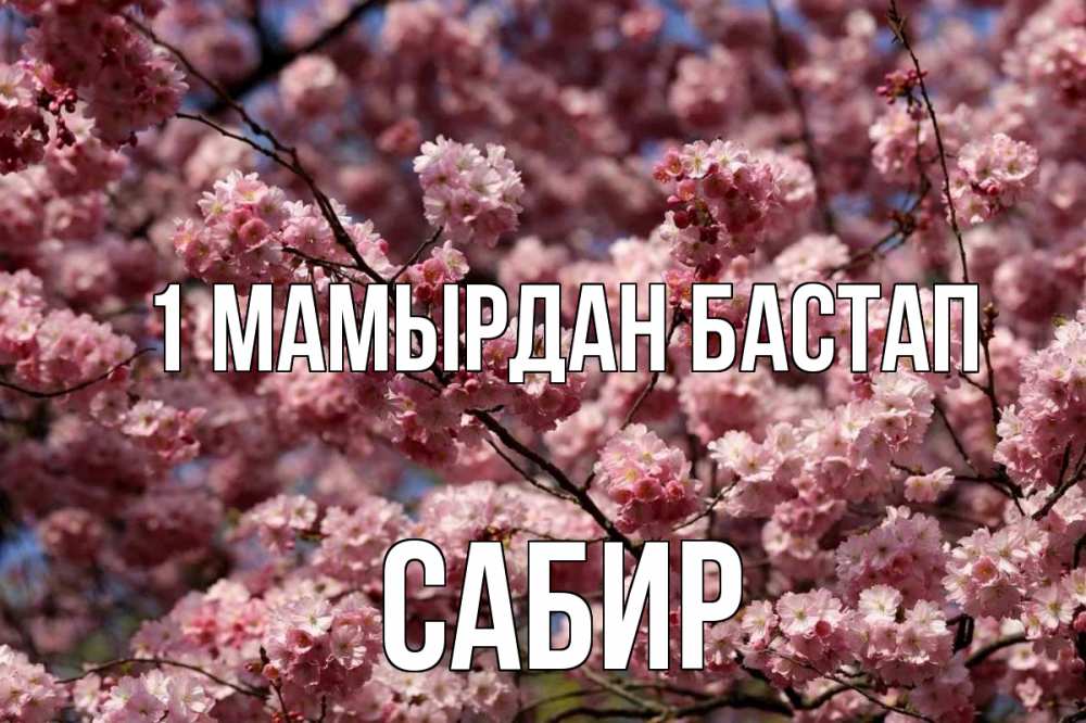 Күн сайын ашық хат с именем, Сабир 1 мамырдан бастап С 1 мая Онлайн тегін жүктеп алу тілектері бар керемет карта 