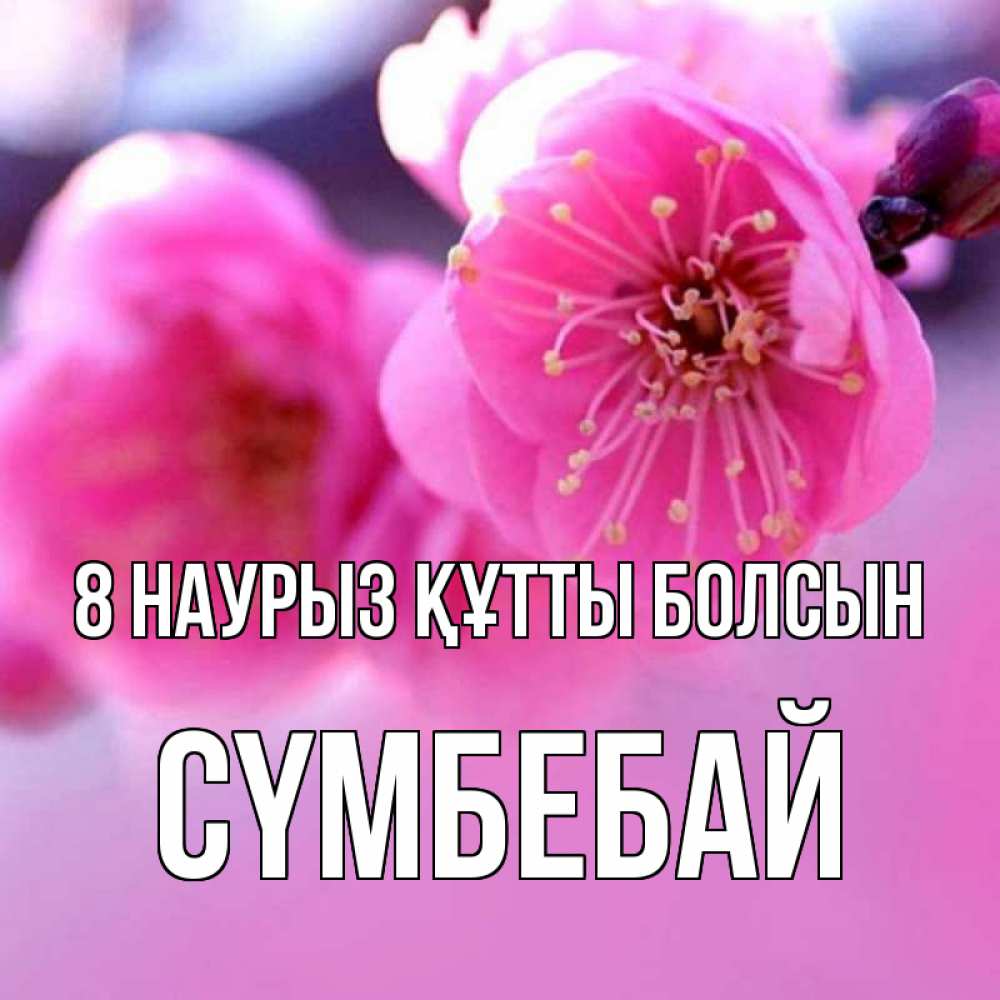 Күн сайын ашық хат с именем, СҮМБЕБАЙ 8 наурыз құтты болсын международный женский день Онлайн тегін жүктеп алу тілектері бар керемет карта 