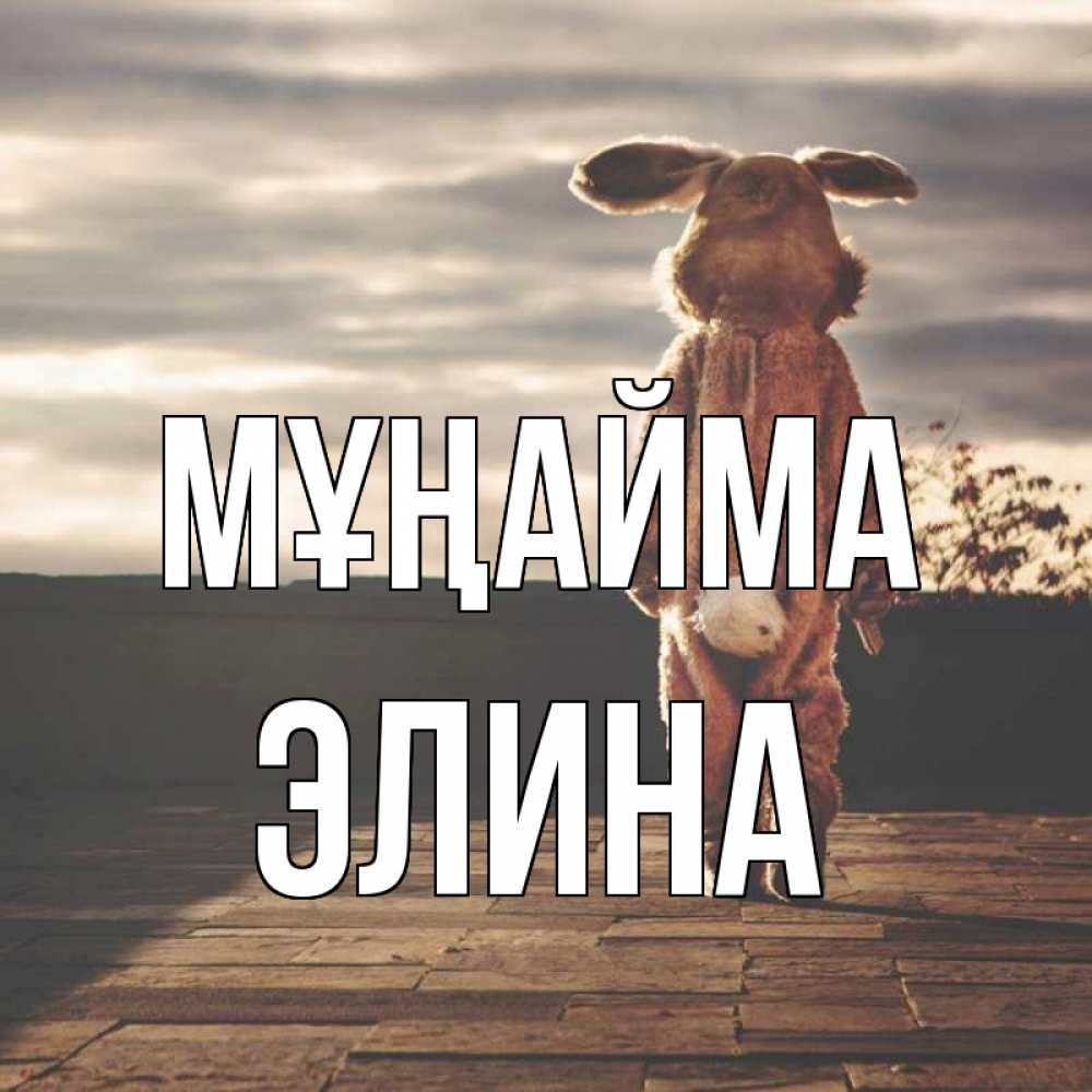 Күн сайын ашық хат с именем, Элина Мұңайма со спины Онлайн тегін жүктеп алу тілектері бар керемет карта 