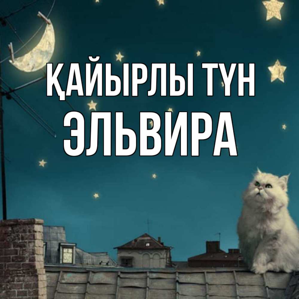Күн сайын ашық хат с именем, Эльвира Қайырлы түн белый кот сидит на крыше Онлайн тегін жүктеп алу тілектері бар керемет карта 