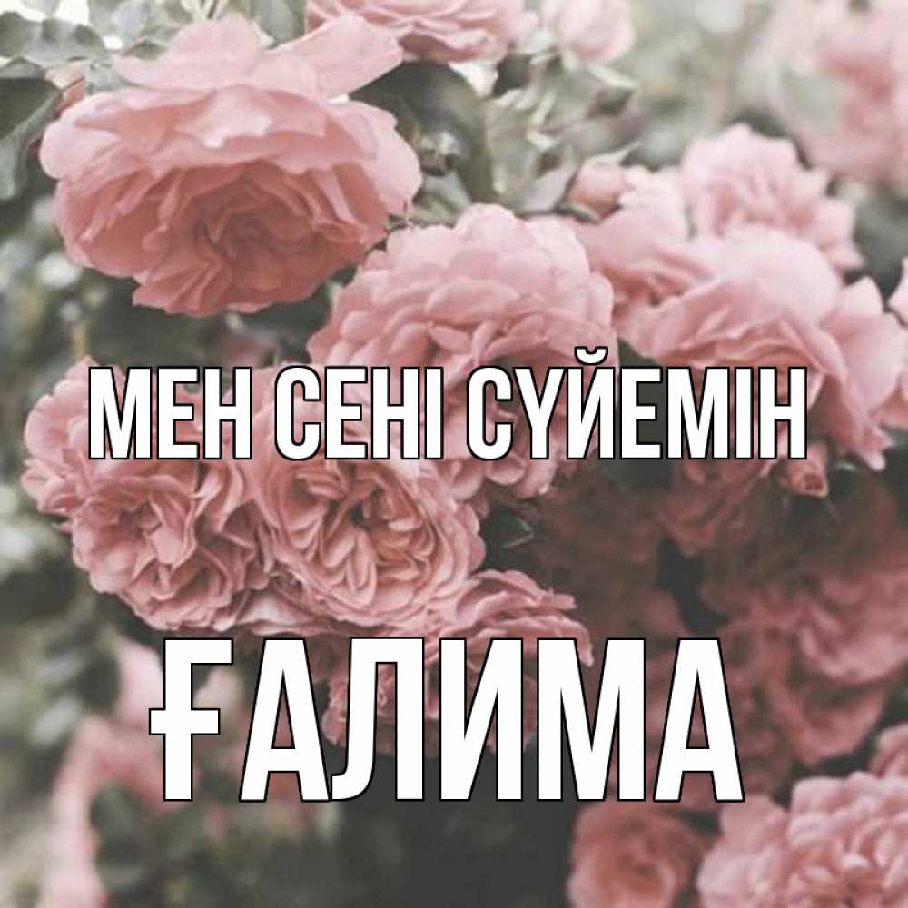 Күн сайын ашық хат с именем, ҒАЛИМА Мен сені сүйемін розы 3 Онлайн тегін жүктеп алу тілектері бар керемет карта 