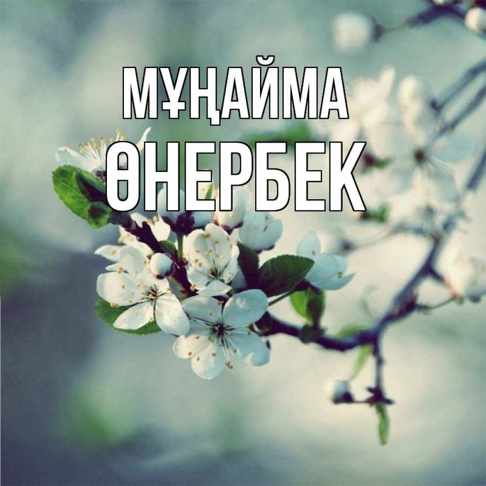 Күн сайын ашық хат с именем, ӨНЕРБЕК Мұңайма яблоня в цвету 1 Онлайн тегін жүктеп алу тілектері бар керемет карта 