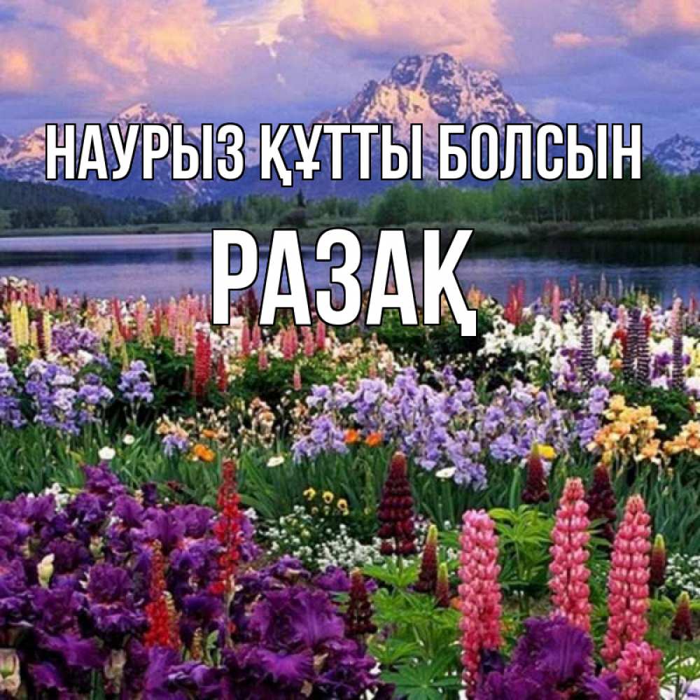 Күн сайын ашық хат с именем, РАЗАҚ Наурыз құтты болсын наурыз Онлайн тегін жүктеп алу тілектері бар керемет карта 