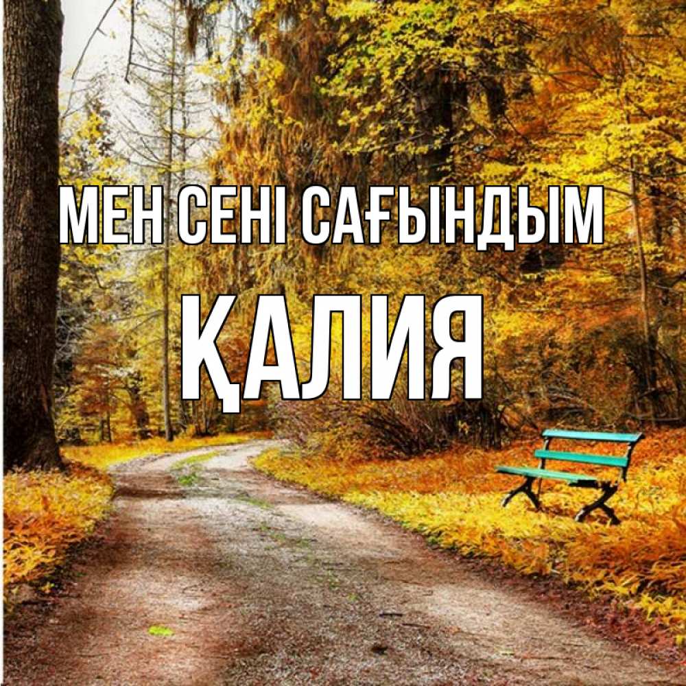 Күн сайын ашық хат с именем, ҚАЛИЯ Мен сені сағындым зеленая лавочка и осенний лес Онлайн тегін жүктеп алу тілектері бар керемет карта 