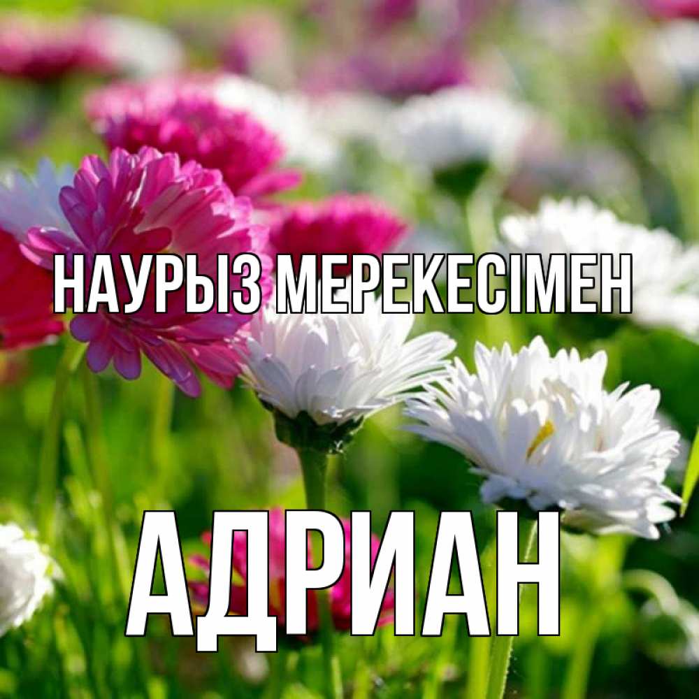Күн сайын ашық хат с именем, Адриан Наурыз мерекесімен праздник весны наурыз красота Онлайн тегін жүктеп алу тілектері бар керемет карта 