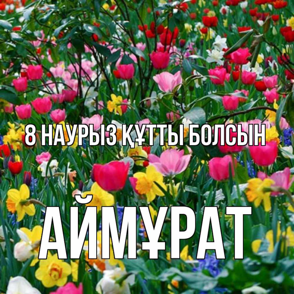 Күн сайын ашық хат с именем, Аймұрат 8 наурыз құтты болсын с международным женским днем поздравления для женщины Онлайн тегін жүктеп алу тілектері бар керемет карта 