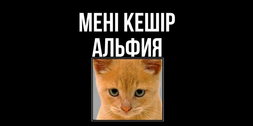 Күн сайын ашық хат с именем, Альфия Мені кешір рыжий грустный кот просит прощения Онлайн тегін жүктеп алу тілектері бар керемет карта 