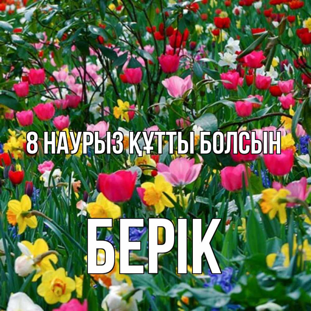 Күн сайын ашық хат с именем, Берік 8 наурыз құтты болсын с международным женским днем поздравления для женщины Онлайн тегін жүктеп алу тілектері бар керемет карта 