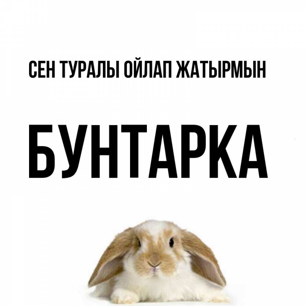 Күн сайын ашық хат с именем, Бунтарка Сен туралы ойлап жатырмын подписать своими руками онлайн Онлайн тегін жүктеп алу тілектері бар керемет карта 