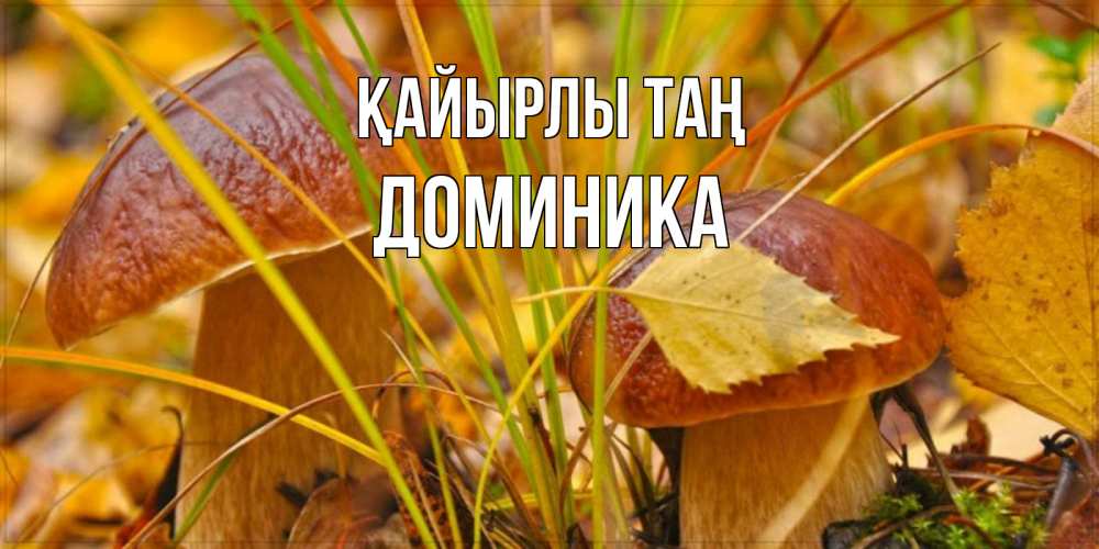 Күн сайын ашық хат с именем, Доминика Қайырлы таң осенние грибы Онлайн тегін жүктеп алу тілектері бар керемет карта 