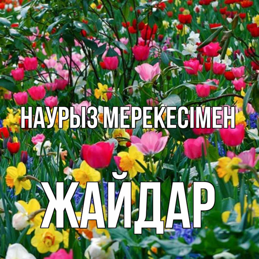 Күн сайын ашық хат с именем, Жайдар Наурыз мерекесімен с наурызом праздником весны поздравления для женщины Онлайн тегін жүктеп алу тілектері бар керемет карта 