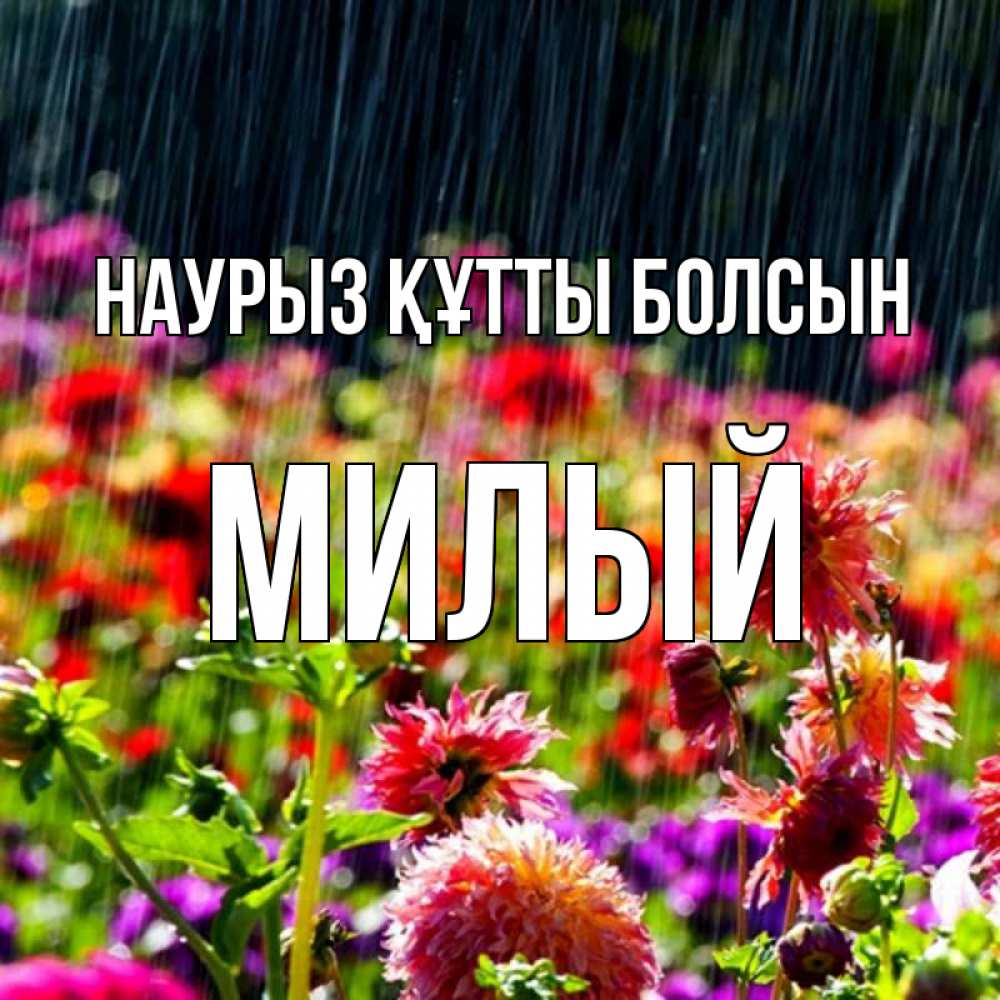 Күн сайын ашық хат с именем, Милый Наурыз құтты болсын цветы под дождиком к наурызу Онлайн тегін жүктеп алу тілектері бар керемет карта 