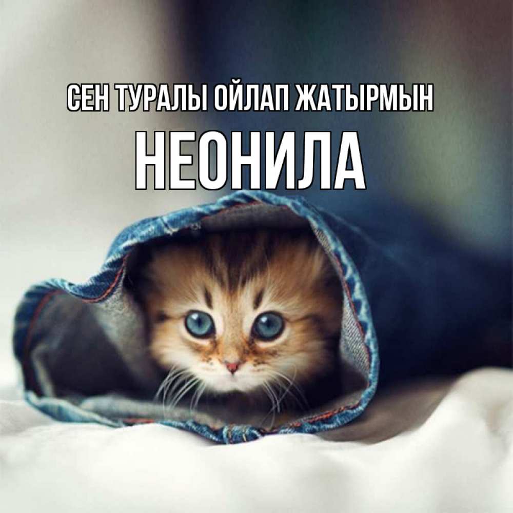 Күн сайын ашық хат с именем, Неонила Сен туралы ойлап жатырмын мне без тебя плохо Онлайн тегін жүктеп алу тілектері бар керемет карта 