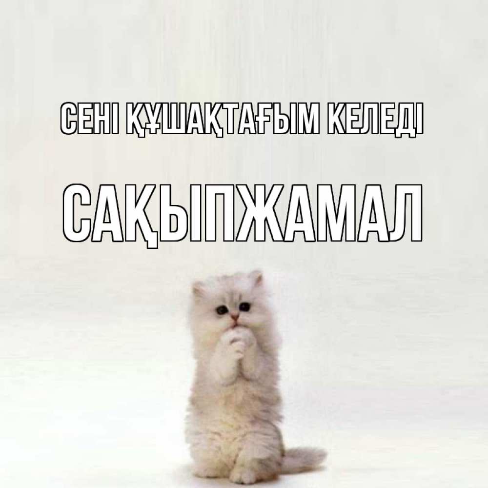 Күн сайын ашық хат с именем, САҚЫПЖАМАЛ сені құшақтағым келеді открытки с креативными подписями Онлайн тегін жүктеп алу тілектері бар керемет карта 