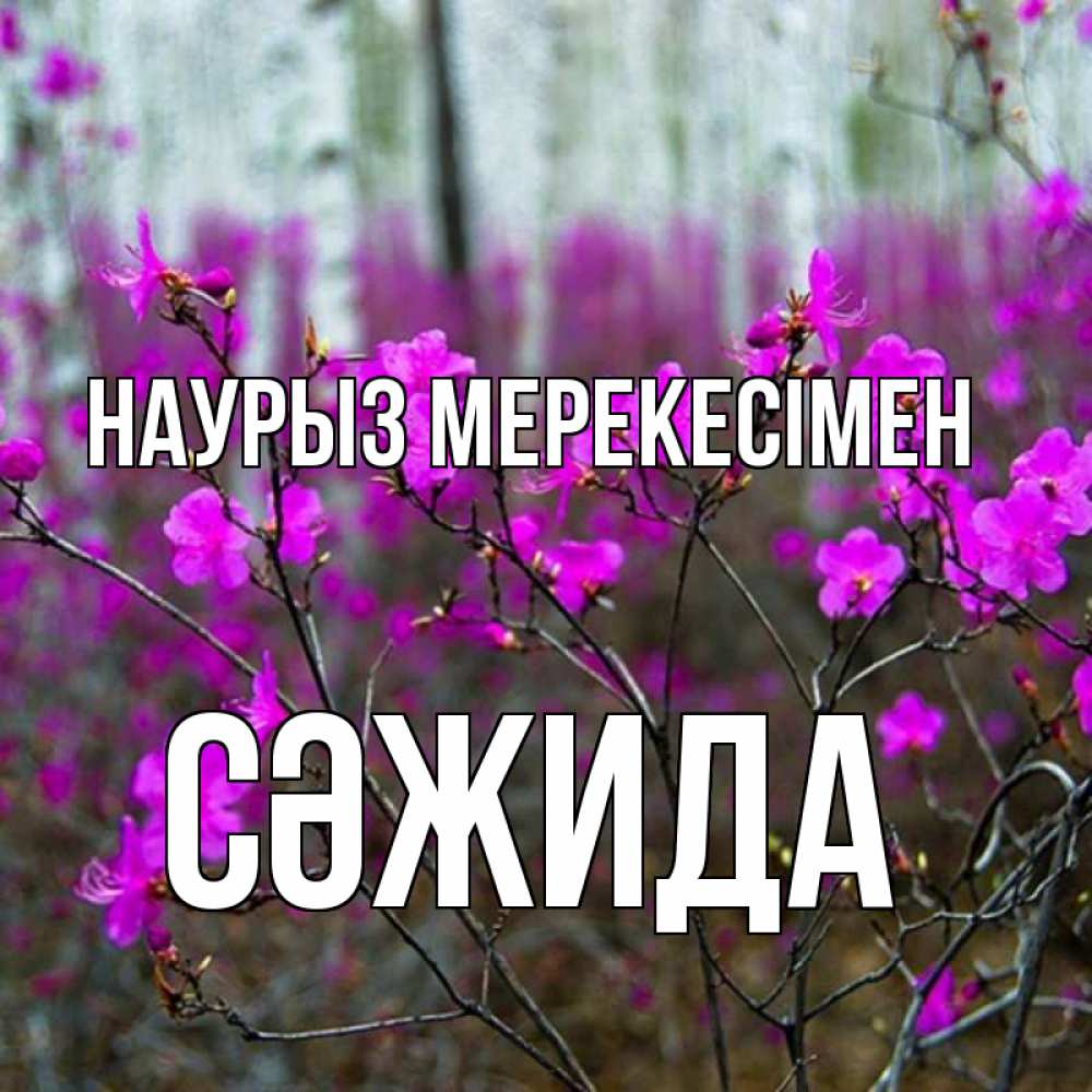 Күн сайын ашық хат с именем, СӘЖИДА Наурыз мерекесімен дикие цветы Онлайн тегін жүктеп алу тілектері бар керемет карта 